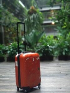 travel, bag, trolley, suitcase, trip, baggage, journey, tour, tourist, vacation, traveler, luggage, nature, plants, green